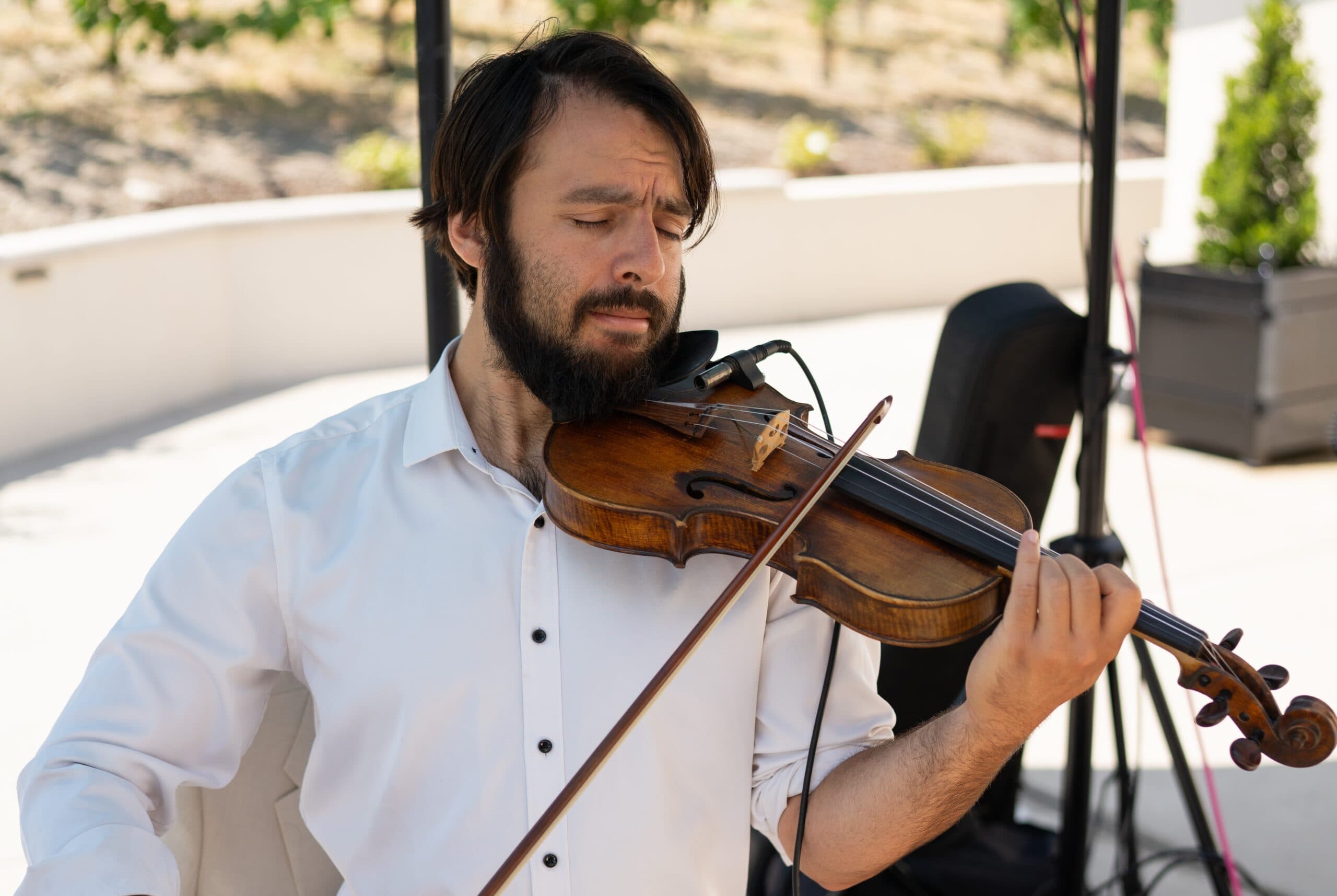 Daniel Cimo - Professional Violinist